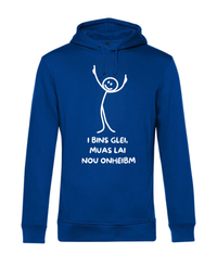 Hoodie - i bins glei...