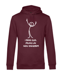 Hoodie - i bins glei...