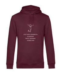 Hoodie - jetzt noch vernünftig zu werden...